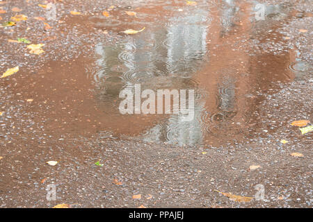 Pfütze mit Laub auf nassem Asphalt Road in der Nähe von urbanen Haus im Herbst regen Stockfoto