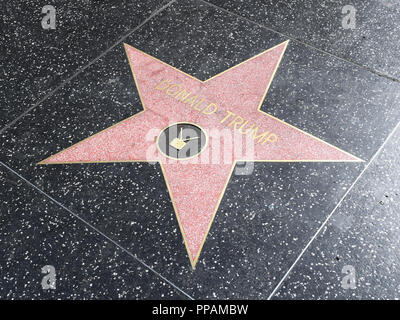 Donald Trump Stern auf dem Hollywood Walk of Fame, Hollywood, Kalifornien Stockfoto