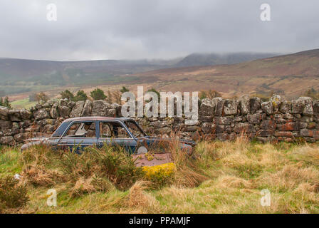 Alten rostigen Auto auf der Wiese, Wicklow Mountains, Irland Stockfoto