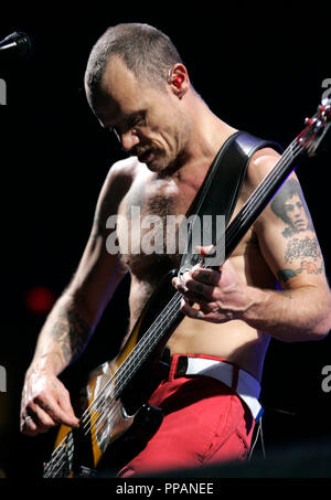 Flohmarkt mit den Red Hot Chili Peppers führt im Konzert an die Bank Atlantic Center in Sunrise Florida am 31. Januar 2007. Stockfoto