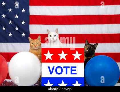 3 Einzigartige diverse Katzen hinter einer Wahl Urne mit Abstimmung auf der Vorderseite, rot weiß blau Ballons und Amerikanische Flagge im Hintergrund. Kopieren Stockfoto