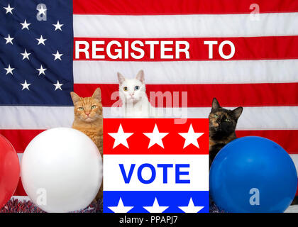 3 Einzigartige diverse Katzen hinter einer Wahl Urne mit Abstimmung auf der Vorderseite, rot weiß blau Ballons und Amerikanische Flagge im Hintergrund. REGIS Stockfoto