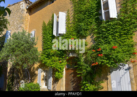 Grün bewachsene Haus im Dorf Gordes in der Provence, Frankreich, auf einem Hügel, Departement Vaucluse, Luberon Bergen Stockfoto