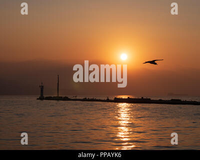 Sonnenuntergang über dem Meer an der Ägäis. Sonnenuntergang bzw. Sonnenaufgang mit Möwe und Wolken. Das Konzept der Ruhe, Ruhe, Erholung und Reisen. Stockfoto