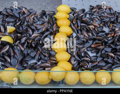 Türkische Gefüllte Miesmuscheln und Zitronen Stockfoto