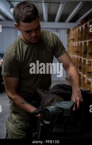 U.S. Army Staff Sgt. Justin Snowdy, mit der 3. Medizinischen Ausbildung Feuerwehr, Fort Sam Houston, Texas, bereitet eine militärische Gebrauchshund Simulator während der Übung Patriot Krieger am Fort McCoy, Wis., 12.08.2018. Patriot Krieger ist Air Force Reserve Command's Premier Übung, eine Chance für finden Bürger Flieger mit gemeinsamen und internationalen Partnern in der Luftbrücke, aeromedical Evacuation und Unterstützung bei der Mobilität zu trainieren. Stockfoto