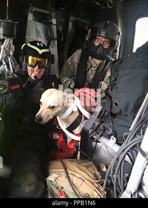 Us-Soldaten mit der 28 Expeditionary Combat Aviation Brigade retten einen Hund durch Überschwemmungen in der Nähe von Benton, Pennsylvania, 13. August 2018 gestrandet. Stockfoto