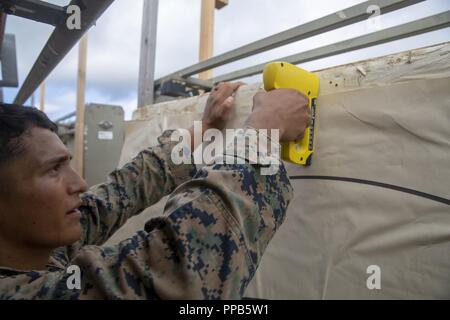 Cpl. Justin Lara Reparaturen ein Ziel bei der Bekämpfung der Treffsicherheit Trainer Kurs im Camp Hansen, Okinawa, Japan, August 14, 2018. Lara, ein Eingeborener von Austin, Texas, USA, ist ein rifleman mit 2Nd Battalion, 3. Marine Regiment. "Wenn ihr in der Box nur auf ihre Zehen und Ergebnis der Shooter was er schießt", sagte er. "Die Box" bezieht sich auf den Bereich, den Sie gehen Sie zu ziehen, Ziele auf die Strecke und markieren. Stockfoto