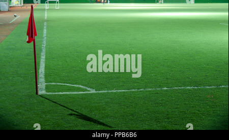 Fußball-Feld mit weißen Markierungen, grünes Gras Textur und rote Fahne. Stockfoto