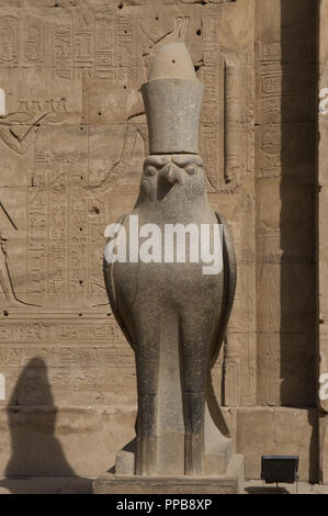 Ägypten, Edfu. Tempel des Horus. Pronaos. Ptolemäerzeit. Es war während der Herrschaft des Ptolemaios III. und Ptolemaios XII., 237-57 v. Chr. erbaut. Granit Statue der Falkengott Horus tragen die Doppelkrone in Ägypten. Stockfoto