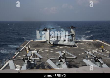 MINDANAO MEER - US-Marines in einem MV-22 B Osprey mit Marine Medium Tiltrotor Squadron 166 verstärkt, 13 Marine Expeditionary Unit (MEU), für alle Fracht während einer planmäßigen Einsatz der Essex Amphibious Ready Group (ARG) und 13 MEU, 17. August 2018 führte zu vor dem Flug an Bord der San Antonio-Klasse amphibious Transport dock USS Anchorage LPD (23) warten. Das Essex ARG/13 MEU ist ein fähiger und tödliche Navy-Marine Corps Team der 7 Bereich der Flotte im Einsatz der regionalen Stabilität zu unterstützen, Partner und Verbündeten beruhigen und pflegen eine Präsenz posierten auf alle zu reagieren Stockfoto