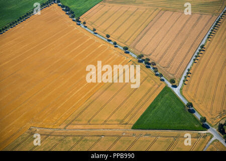 Luftaufnahme, Getreidefeldern und Wiesen, Feldwege, geometrische Formen, Ruhrgebiet, Nordrhein-Westfalen, Deutschland Stockfoto