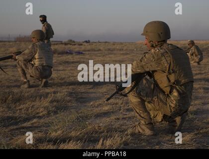 Mitglieder des Irakischen Bundesgrenzschutz Kräfte practice squad Bewegung Techniken an der Besmaya Bereich Komplexe, Irak, Nov. 18, 2018. Eine Koalition erstellt aus einer vielfältigen internationalen Gemeinschaft wird ihre Unterstützung für die Menschen im Irak fortsetzen, um die Fähigkeiten der Nation bei der Stärkung von Sicherheit und Stabilität zu gewährleisten. Stockfoto