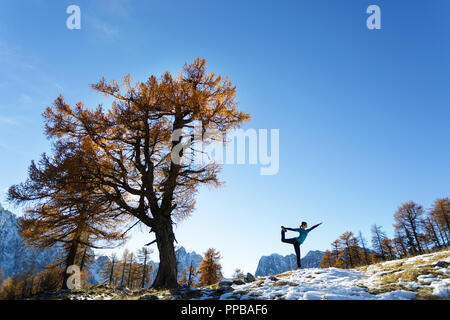 Junge Frau, die auf einem schneebedeckten Berg unter goldenen Lärchen Baum, im Yoga darstellen, während der Herbstsaison, Slowenien, Alpen Stockfoto
