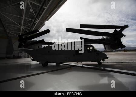 Us-Marines Park eine MV-22 Osprey Flugzeuge im Hangar 7 vor Hurricane Lane Ankunft in Marine Corps Air Station (WAB) Kaneohe Bay, Marine Corps Base Hawaii (MCBH), 22.08.2018. Für die Sicherheit und den Schutz der Vermögenswerte, der US-Marines verhalten Hurrikan Vorbereitungen an Bord der Installation. Stockfoto