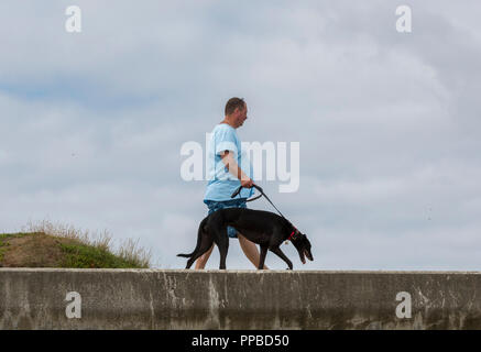 Mann, seinen Windhund entlang einer Sea Wall auf der Insel Wight. Stockfoto