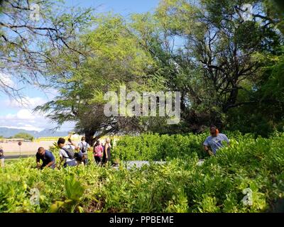 PEARL HARBOR (Aug. 18, 2018) - Chief Petty Officer und Chief Petty Officer selectees sauber und Verkleidung Vegetation rund um den Halealoha Haleamau Grabstätte auf Joint Base Pearl Harbor-Hickam, Hawaii. Stockfoto