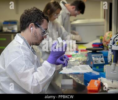 Die Streitkräfte Medical Examiner System - bewaffnete Kraft DNA-Identifizierung Labor DNA Analytiker, Proben in Kartuschen vor dem Laden in die nächste Generation der DNA-Sequenzierung Instrument am 24. August 2018. Im Jahr 2016, AFMES - Afdil entwickelt und forensisch validiert mtDNA Sequenzierung der nächsten Generation, die für die DNS-Sequenzierung Ergebnisse zum ersten Mal von chemisch beschädigt Proben zu entnehmen, um sie erlaubt. Zu Datum, AFMES - Afdil hat über 800 Proben mit dieser neuen Methode, die über 60 neue Identifikationen in zwei Jahren seit ihrer Validierung unterstützt verarbeitet hat. Stockfoto