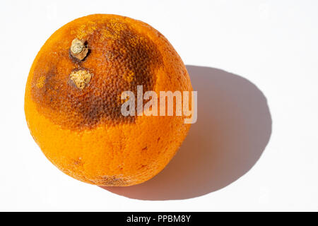 Orange mit etwas Farbe in der Sonne verändert Stockfoto