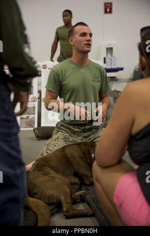 Us Marine Corps Sgt. Cameron Soldano, ein Militär Hundeführer und Munition, seinem Hund, mit 1 Strafverfolgung Bataillon, ich Marine Information Group, zeigen ihre Fähigkeiten während Los Angeles Flotte Woche, Sept. 2, 2018. Soldano, ein Eingeborener von Sacramento, Calif. und Munition werden geschult, verschiedene Aufgaben auszuführen und können Suchanfragen gehören, Machens Verdächtigen, und Aufspüren von Sprengstoff und Drogen. Los Angeles Flotte Woche stellt eine Gelegenheit für das Marine Corps und der Marine die Qualität von Personal für die Bürger von Los Angeles zu demonstrieren und Umgebung. Stockfoto