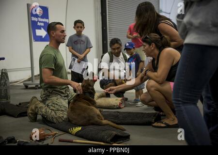 Us Marine Corps Sgt. Cameron Soldano, ein Militär Hundeführer und Munition, seinem Hund, mit 1 Strafverfolgung Bataillon, ich Marine Information Group, zeigen ihre Fähigkeiten während Los Angeles Flotte Woche, Sept. 2, 2018. Soldano, ein Eingeborener von Sacramento, Calif. und Munition werden geschult, verschiedene Aufgaben auszuführen und können Suchanfragen gehören, Machens Verdächtigen, und Aufspüren von Sprengstoff und Drogen. Los Angeles Flotte Woche stellt eine Gelegenheit für das Marine Corps und der Marine die Qualität von Personal für die Bürger von Los Angeles zu demonstrieren und Umgebung. Stockfoto