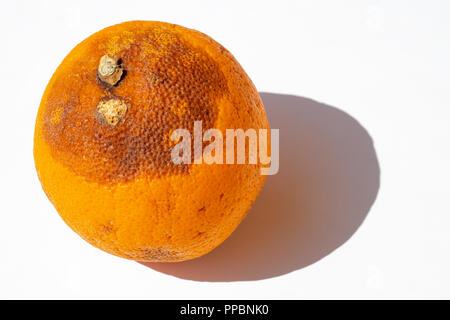 Orange mit etwas Farbe in der Sonne verändert Stockfoto