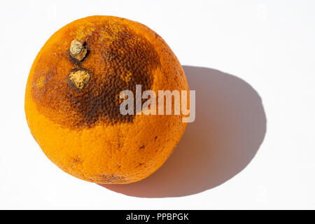 Orange mit etwas Farbe in der Sonne verändert Stockfoto