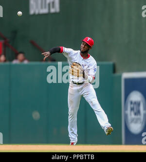 Arlington, Texas, USA. 23 Sep, 2018. Texas Rangers shortstop Jurickson Profar (19) Während der MLB Spiel zwischen der Seattle Mariners und der Texas Rangers bei Globe Life Park in Arlington, Texas. Texas gewann 6-1. Tom Sooter/CSM/Alamy leben Nachrichten Stockfoto