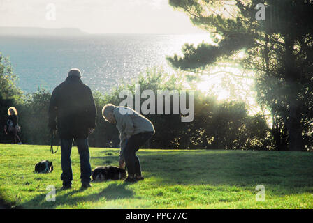 Weymouth. 25. September 2018. Leute gehen mit ihren Hunden durch das Meer bei Redcliff, Weymouth, als die Sonne brennt aus dem Morgennebel Credit: stuart Hartmut Ost/Alamy leben Nachrichten Stockfoto