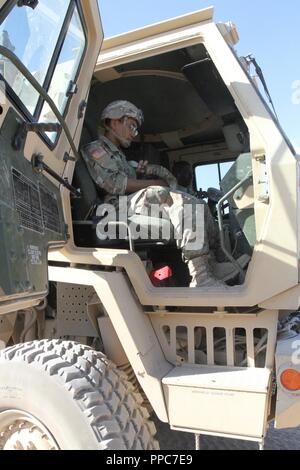 Spc. Michael Brigola (links), einen Computer zur Erkennung von Werkstatt und Sgt. Jerome Lee (in den Sitz des Treibers), ein radfahrzeug Mechaniker, sowohl von Echo Company, 328 Brigade Support Battalion, 56th Stryker Brigade Combat Team, 28 Infanterie Division, Pennsylvania Army National Guard, bereiten Sie in einem Light Medium taktische Fahrzeug in einen Konvoi von der National Training Center, Fort Irwin des Schienenkopfes in Yermo, Kalifornien 12.08.19 zu fahren. Brigola stützte sich auf die Beratung und Betreuung, die er von Lee während der 56 SBCT Kampftraining Drehung am NTC empfangen. Stockfoto