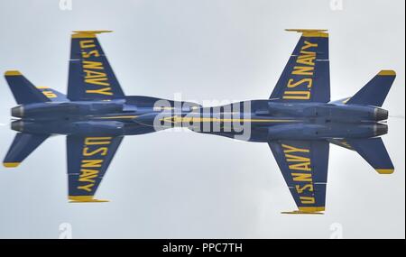 TERRE HAUTE, Indiana. (August 18, 2018) der US-Navy Flight Demonstration Squadron, die Blue Angels, Solo Piloten führen Sie die gegnerischen Knife Edge Pass Manöver während einer Demonstration im Jahr 2018 Terre Haute Air Show. Der Blaue Engel sind geplant mehr als 60 Demonstrationen an mehr als 30 Standorten in den USA und Kanada im Jahr 2018 durchzuführen. Stockfoto