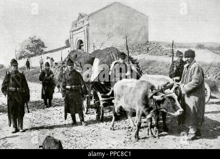 Ersten Weltkrieg (1914-1918). Rumänische Armee-Konvoi. Jahr 1915. Stockfoto