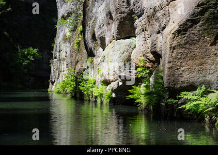 Die Kamnitz Schlucht, Tschechisch: Soutesky Kamenice, Deutsch: Kamnitzklamm oder Edmundsklamm, ist eine felsige Schlucht in der Böhmischen Schweiz in der Tschechischen Republik. Stockfoto
