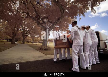 Eine Ehrengarde detail, bestehend aus US-amerikanischen Matrosen zu Marine Region Hawaii zugewiesen, tragen die Schatulle der U.S. Navy Machinist Mate 1. Klasse Arthur Glenn an der Nationalen Gedenkstätte Friedhof der Pazifik, Honolulu, Hawaii, Aug 21., 2018. Am 7. Dezember 1941, Glenn war die USS Oklahoma, die Feuer von japanischen Flugzeugen nachhaltige zugeordnet. Das Schiff kenterte nach mehreren Torpedo Hits, die den Tod von mehr als 429 Besatzungsmitglieder bei Ford Insel, Pearl Harbor. Glenn ist das 100 Oklahoma sailor gekennzeichnet durch DNA-Analyse mit Hilfe der Verteidigung POW/MIA Accounting Agentur (DPAA) und r Stockfoto