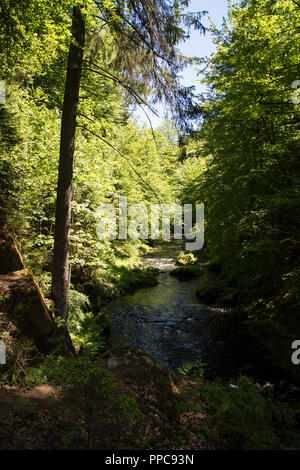 Die Kamnitz Schlucht, Tschechisch: Soutesky Kamenice, Deutsch: Kamnitzklamm oder Edmundsklamm, ist eine felsige Schlucht in der Böhmischen Schweiz in der Tschechischen Republik. Stockfoto