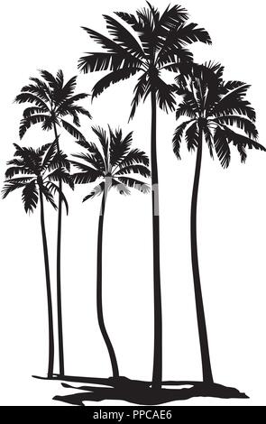 Palmen Stock Vektor