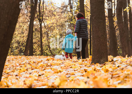 Großmutter mit Enkel und Hund zu fallen (Herbst) Park Stockfoto