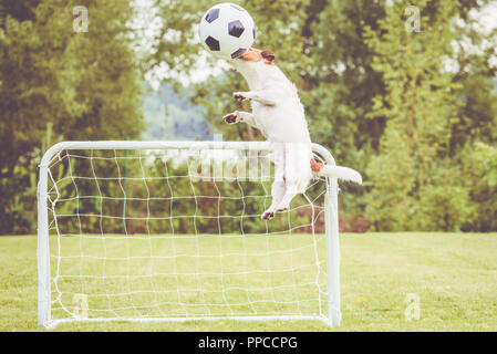 Defender Fußball (Fußball) der Spieler den Ball mit Kopf speichern Ziel Stockfoto