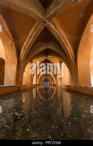 Badewanne im Gewölbekeller, Banos de Dona Maria de Padilla, königliche Residenz, Real Alcazar Palast, Reales Alcazares, Sevilla Stockfoto