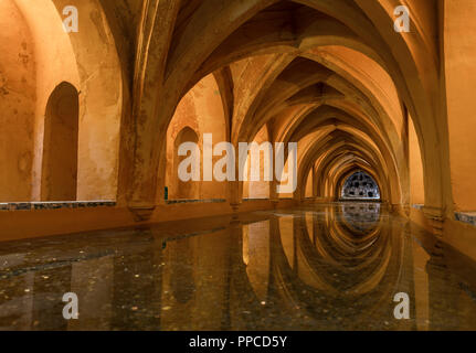 Badewanne im Gewölbekeller, Banos de Dona Maria de Padilla, königliche Residenz, Real Alcazar Palast, Reales Alcazares, Sevilla Stockfoto