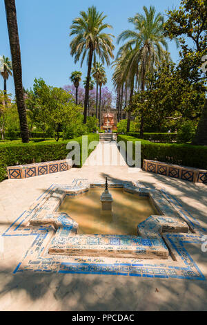 Die Gärten des Alcazar, Springbrunnen, Royal Palace von Sevilla, Sevilla, Spanien Stockfoto