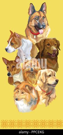 Vertikale Postkarte mit Hunden verschiedener Rassen (Deutscher Schäferhund, Golden Retriever, kleines pomeranian, Pitbull, Nova Scotia Duck Tolling Retriever, Bas Stock Vektor