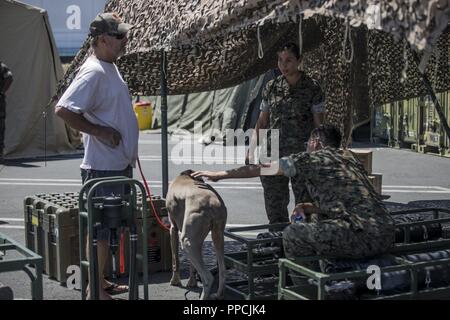 Us Marine Corps Lance Cpl. Crystal Quiroz, ein Kfz-Fahrer mit 1 medizinischen Bataillon, 1. Marine Logistics Group, spricht mit ein Teilnehmer während Los Angeles Flotte Woche, Aug 31., 2018. Los Angeles Flotte Woche feiert und ehrt Meer Dienstleistungen der Nation, erleichtert die jährliche Katastrophenschutz zwischen der Navy, Marine Corps, Coast Guard und lokalen Ersthelfer, und bietet der Öffentlichkeit die Gelegenheit, praktische Erfahrungen mit Marine Corps Ausrüstung und Interagieren mit Service Mitglieder ein besseres Verständnis der Seestreitkräfte der nationalen Verteidigung eine Unterstützung zu erhalten Stockfoto