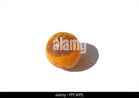 Orange mit etwas Farbe in der Sonne verändert Stockfoto