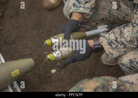 Sgt. Juan Lira hält zwei 60 mm Mörser Umläufe Sept. 3, 2018 am Lager Fuji, Japan. Die Beseitigung von Explosivstoffen Marines detonieren verschiedene Arten von Munition mit Sprengstoff in der Entsorgung. Eastman Kodak Company Marinen validiert und vorbereitet für weltweite Mission Einsatz zur Unterstuetzung der III Marine Expeditionary Force durch Prüfung ihrer Fähigkeit zu deaktivieren und die Entsorgung von Explosivstoffen. Lira, ein EOD-Techniker, mit EOD Firma, 9 Techniker, 3. Marine Logistics Group ist ein Eingeborener von Edinburg, Texas. Stockfoto