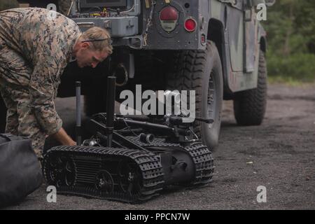 Sgt. Brett E. Ellis bereitet eine Mark II Talon die Beseitigung von Explosivstoffen Roboter Sept. 5, 2018 am Lager Fuji, Japan. EOD Marines ausgebildet werden sicher der Improvisierten Sprengstoffen Geräte mit der Mark II Talon EOD-Roboter entsorgen Sie während der Vorbereitung für die weltweite Mission Einsatz zur Unterstuetzung der III Marine Expeditionary Force. Ellis, ein Eingeborener von Overland Park, Kansas, ist ein EOD-Techniker mit EOD Firma, 9 Techniker, 3. Marine Logistics Group. Stockfoto