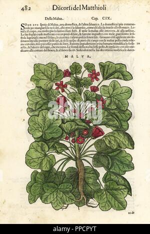 Gemeinsame malve Malva Sylvestris. Papierkörbe Holzschnitt von Wolfgang Meyerpick nach einer Illustration von Giorgio Liberale von Pietro Andrea Mattioli die Discorsi di P.A. Matthioli ne Ich sei libri della Materia Medicinale di Dioscoride Pedacio Anazarbeo (Kommentar auf die Materia Medica von Dioscorides), Vincenzo Valgrisi, Venedig, 1568. Stockfoto