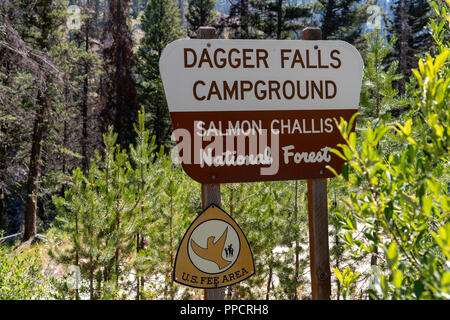 Mittlere Gabel der Salmon River in der Nähe von Dolch fällt und die Grenze Creek Campground in der Sägezahn Wildnis von Idaho Stockfoto