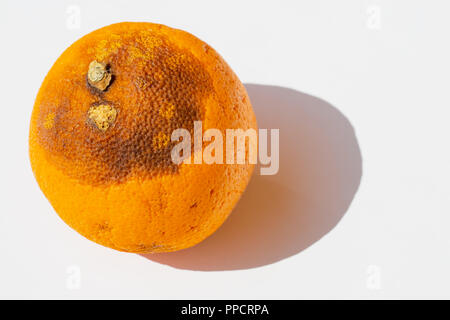 Orange mit etwas Farbe in der Sonne verändert Stockfoto