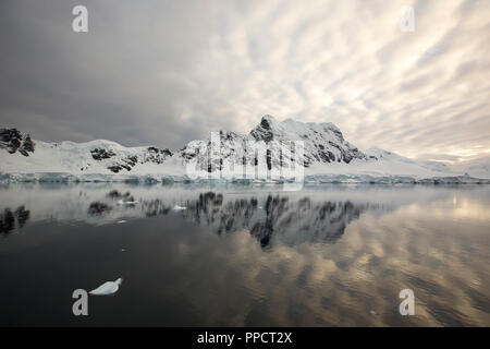 Atemberaubende Küstenlandschaft in Paradise Bay aus Graham Land auf der Antarktischen Halbinsel. Die Halbinsel ist einer der am schnellsten Erwärmung Orte auf dem Planeten. Stockfoto